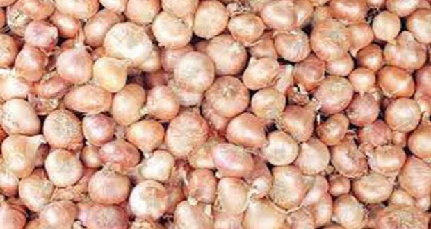 onion India