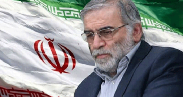 Iran's top nuclear scientist