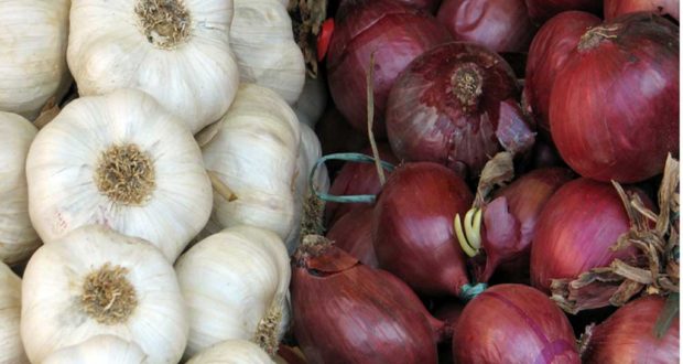 Onion-Garlic production target in Chandpur
