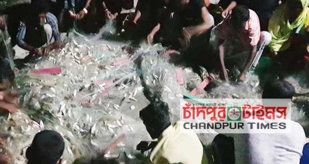Jatka killing in Chandpur